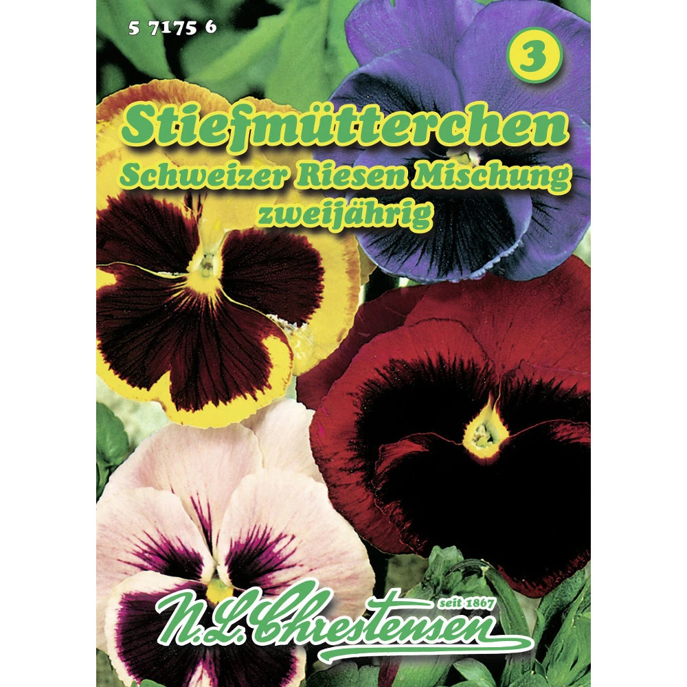Saatgut Stiefmütterchen Schweizer Riesen Mischung Mit Großen Blüten 3 Saatgut Stiefmütterchen Schweizer Riesen Mischung Mit Großen Blüten