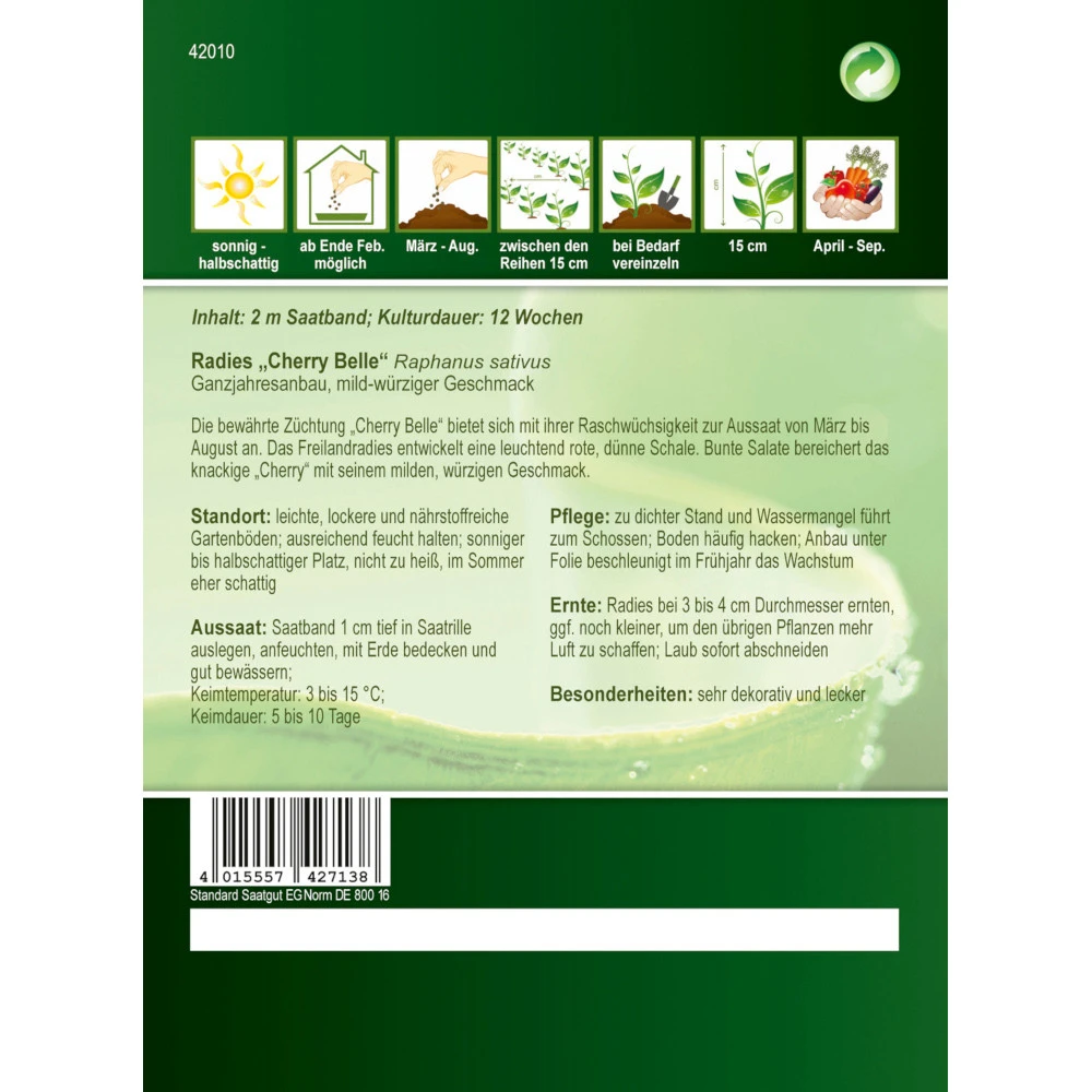 Saatgut Radies Cherry Belle, Ca. 2 Meter Saatband, Mild-würziger Geschmack 4 Saatgut Radies Cherry Belle, Ca. 2 Meter Saatband, Mild-würziger Geschmack – Bild 2