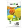 Terrasan® Universal-Blumenerde 20 Liter, Torfreduziert 1 Terrasan® Universal-Blumenerde 20 Liter, Torfreduziert -Gartengeräte 2QECaE5Cw3BTVE1 1280x1280