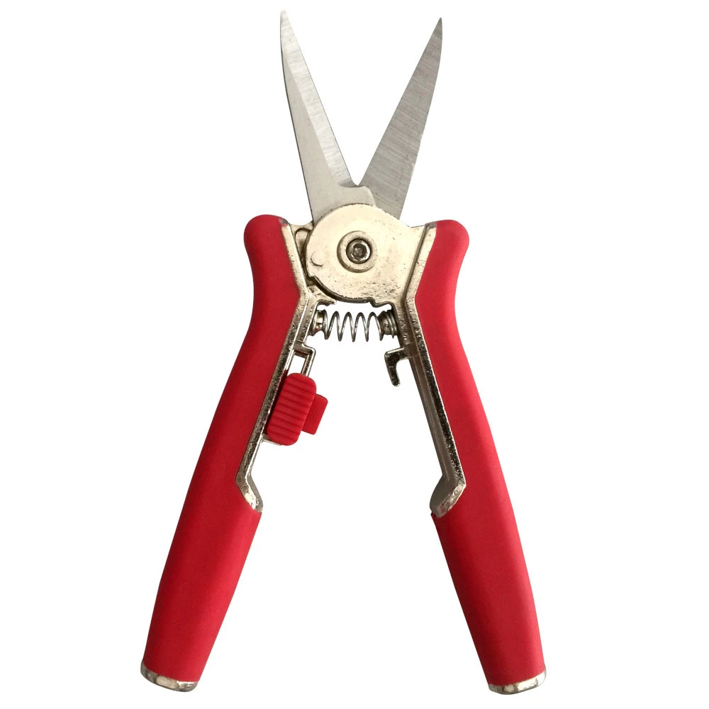 Sonder Preis Mini Edelstahl Gartenschere 3 Sonder Preis Mini Edelstahl Gartenschere