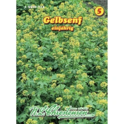 Saatgut Gelbsenf Zur Gründüngung