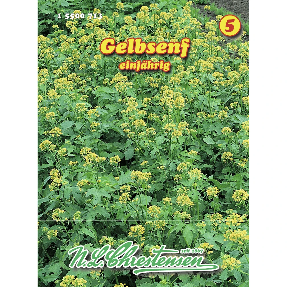 Saatgut Gelbsenf Zur Gründüngung 2 Saatgut Gelbsenf Zur Gründüngung