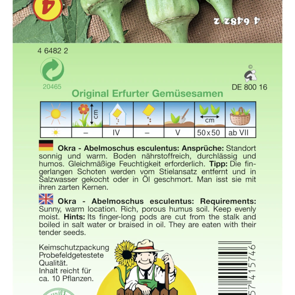 Saatgut Okra Gombo Ladyfinger Vitaminreich Für Ca. 10 Pflanzen 4 Saatgut Okra Gombo Ladyfinger Vitaminreich Für Ca. 10 Pflanzen – Bild 2