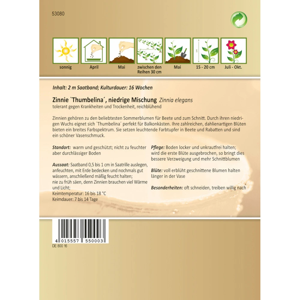 Saatgut Zinnie Thumbelina Niedrige Mischung, Ca. 2 Meter Saatband 4 Saatgut Zinnie Thumbelina Niedrige Mischung, Ca. 2 Meter Saatband – Bild 2