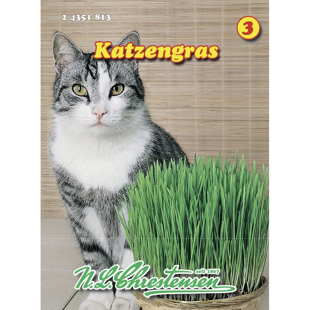 Saatgut Katzengras Enthält Wertvolle Folsäure Und Unterstützt Die Verdauung 3 Saatgut Katzengras Enthält Wertvolle Folsäure Und Unterstützt Die Verdauung