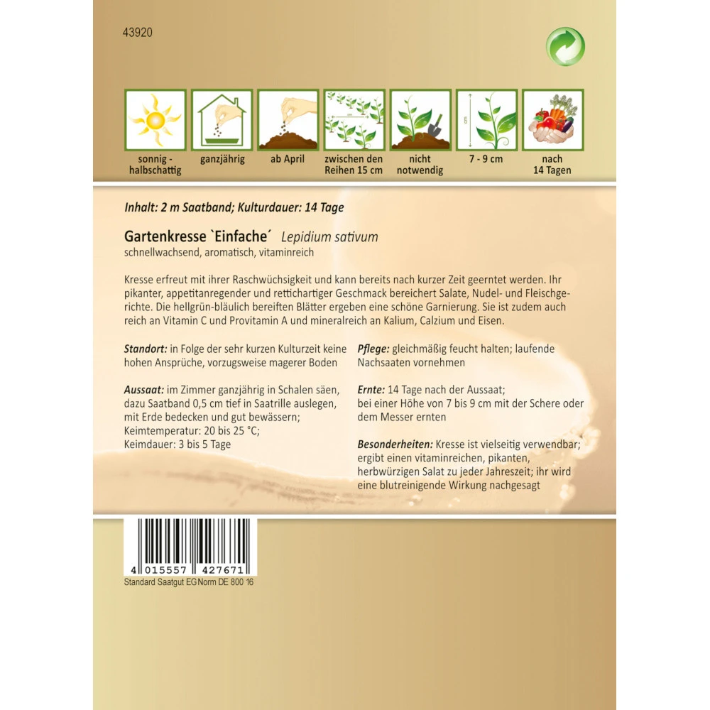 Saatgut Einfache Gartenkresse 4 Saatgut Einfache Gartenkresse – Bild 2