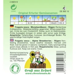 Saatgut Monatserdbeere Rügen Immertragend Für Ca. 150 Pflanzen 5 Saatgut Monatserdbeere Rügen Immertragend Für Ca. 150 Pflanzen -Gartengeräte 2Qqq2HNF7nxA4ln 1280x1280