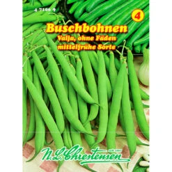 Saatgut Buschbohnen Valja Mittelfrühe Sorte, Ohne Fäden