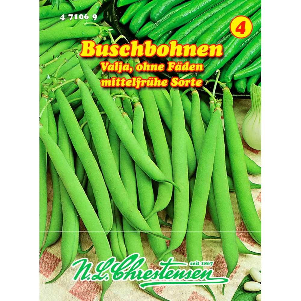 Saatgut Buschbohnen Valja Mittelfrühe Sorte, Ohne Fäden 3 Saatgut Buschbohnen Valja Mittelfrühe Sorte, Ohne Fäden