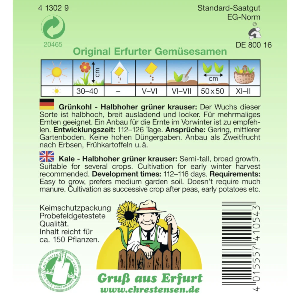Saatgut Grünkohl Halbhoher Grüner Krauser, Reicht Für Ca. 150 Pflanzen 4 Saatgut Grünkohl Halbhoher Grüner Krauser, Reicht Für Ca. 150 Pflanzen – Bild 2