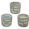 Citronellakerze, Verschiedene Farben, In Betonglas Mit Fischmotiv -Gartengeräte 9k33c3MzW07HNxq 1280x1280