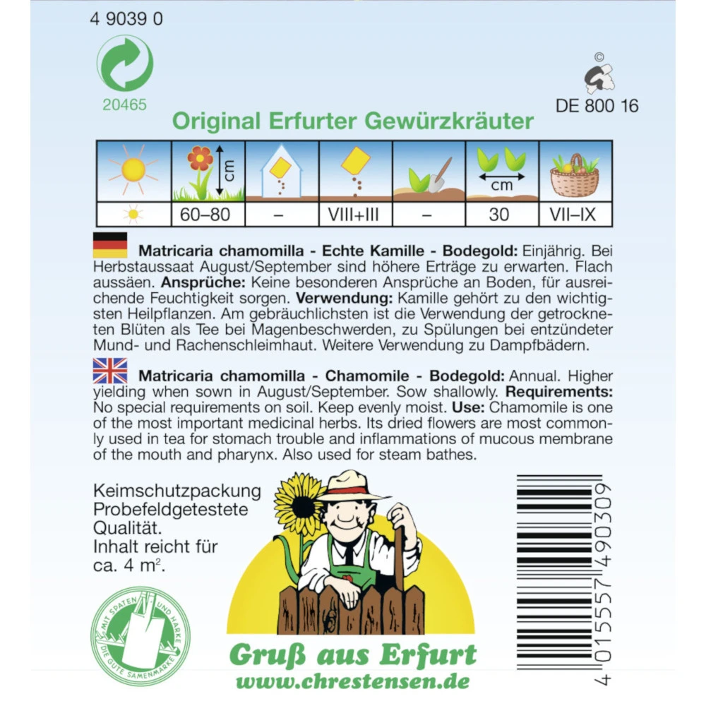 Saatgut Buschbohnen Valja Mittelfrühe Sorte, Ohne Fäden 4 Saatgut Buschbohnen Valja Mittelfrühe Sorte, Ohne Fäden – Bild 2