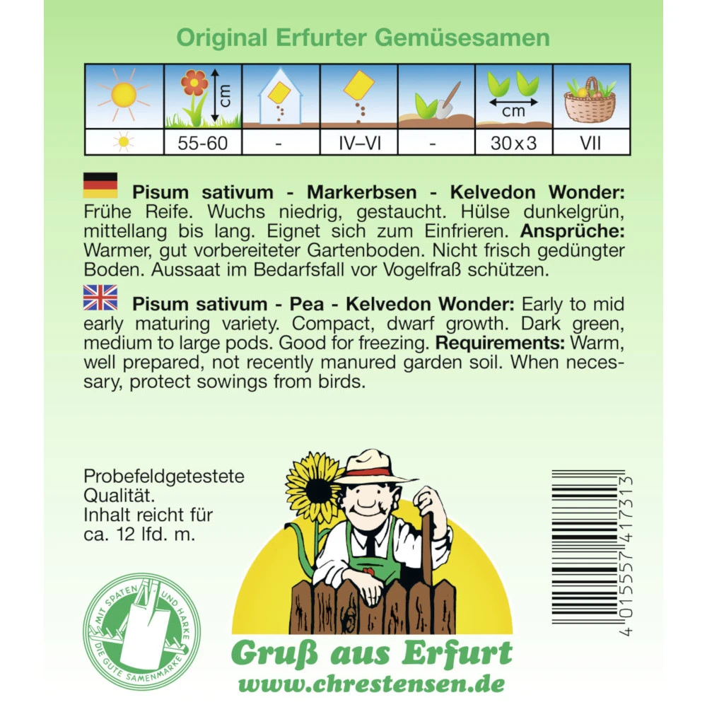 Saatgut Markerbsen Kelvedon Wonder Frühe Sorte, Reicht Für Ca. 12 Lfd. Meter 4 Saatgut Markerbsen Kelvedon Wonder Frühe Sorte, Reicht Für Ca. 12 Lfd. Meter – Bild 2
