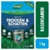 WESTLAND Trocken- Und Schattenrasen-Saatgutmischung 40 M² 1,0 Kg -Gartengeräte 9kEZx2g0Z5hM746 1280x1280