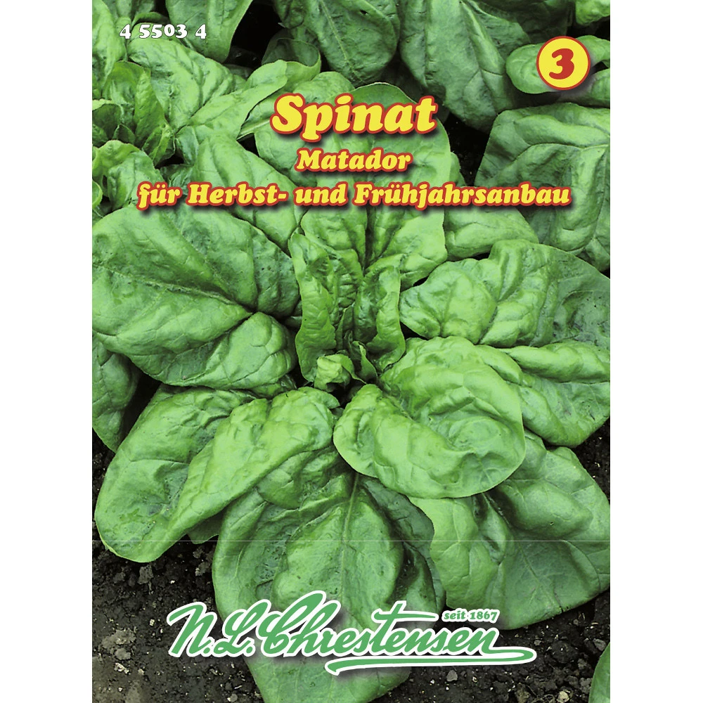 Saatgut Spinat Matador, Winterfest, Raschwüchsig Und Sehr Ertragreich 3 Saatgut Spinat Matador, Winterfest, Raschwüchsig Und Sehr Ertragreich