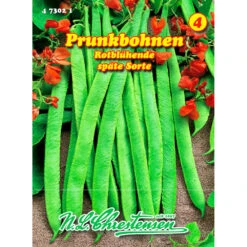 Saatgut Prunkbohnen Rotblühende Ertragreich, Reicht Für Ca. 5 – 6 Stangen