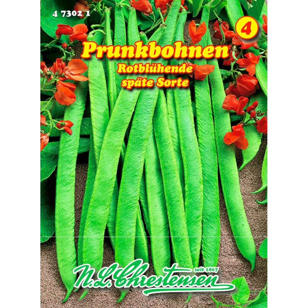 Saatgut Prunkbohnen Rotblühende Ertragreich, Reicht Für Ca. 5 – 6 Stangen 3 Saatgut Prunkbohnen Rotblühende Ertragreich, Reicht Für Ca. 5 – 6 Stangen