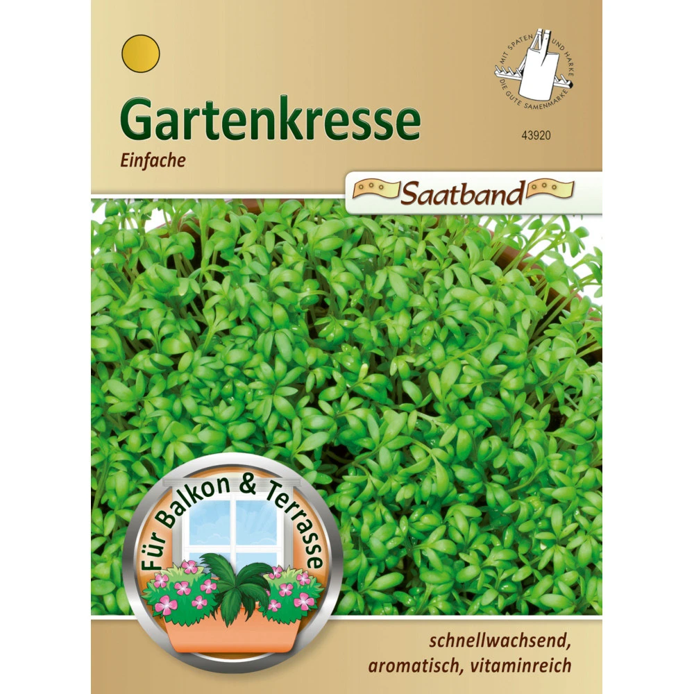 Saatgut Einfache Gartenkresse 3 Saatgut Einfache Gartenkresse