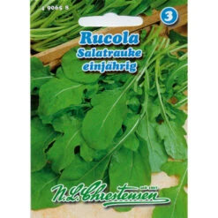 Rucola Mit Erdnussartigem Geschmack, Kurze Kulturzeit