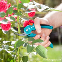 GARDENA Gartenschere B/S-M -Gartengeräte 9kd5YvsE8PQZJmd 1280x1280