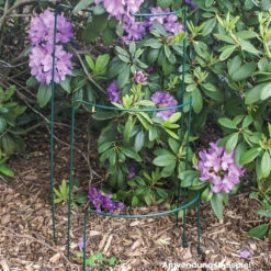 Strauchstütze 35 X 40 Cm, Metalldraht, Grün 7 Strauchstütze 35 X 40 Cm, Metalldraht, Grün -Gartengeräte 9keQ4eI6nD8IMdw 1280x1280 2