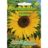 Saatgut Sonnenblume Helianthus Uniflorus Für Ca. 35 Pflanzen 1 Saatgut Sonnenblume Helianthus Uniflorus Für Ca. 35 Pflanzen -Gartengeräte 9kfSstHV1g39Qui 1280x1280
