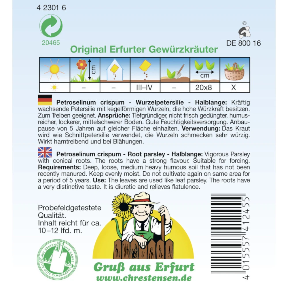 Saatgut Wurzelpetersilie Halblange, Für Ca. 10 – 12 Laufende Meter 4 Saatgut Wurzelpetersilie Halblange, Für Ca. 10 – 12 Laufende Meter – Bild 2