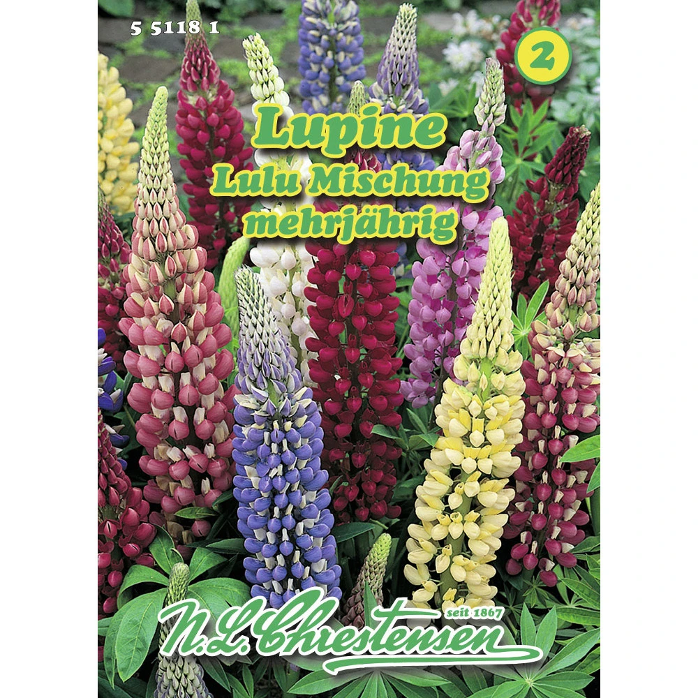 Saatgut Lupine Lulu Mischung, Standfeste Gartenstaude, Für Ca. 20 Pflanzen 3 Saatgut Lupine Lulu Mischung, Standfeste Gartenstaude, Für Ca. 20 Pflanzen