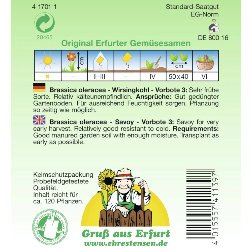 Saatgut Wirsingkohl Vorbote 3 Sehr Frühe Sorte, Für Ca. 120 Pflanzen 4 Saatgut Wirsingkohl Vorbote 3 Sehr Frühe Sorte, Für Ca. 120 Pflanzen – Bild 2