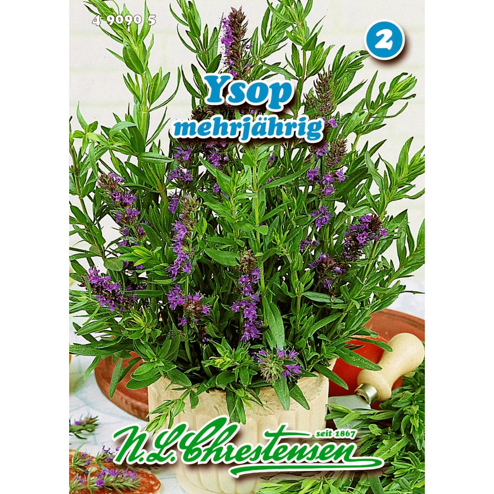 Ysop Saatgut PG 2 3 Ysop Saatgut PG 2