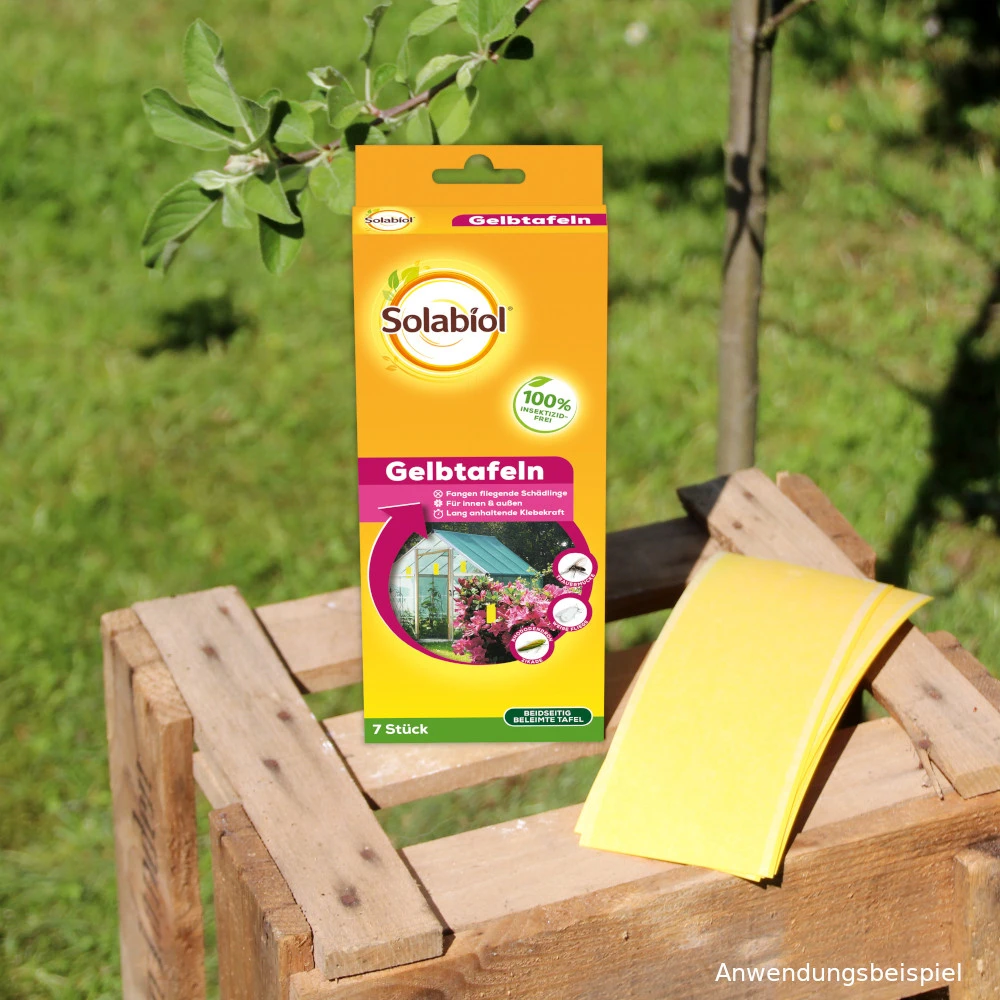 Solabiol Kombi Gelbtafeln 7 Stück 4 Solabiol Kombi Gelbtafeln 7 Stück – Bild 2