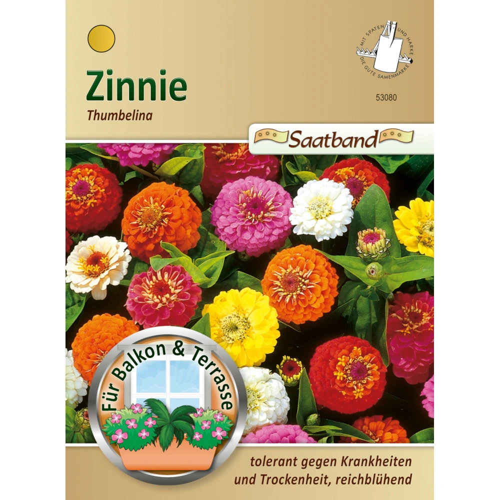Saatgut Zinnie Thumbelina Niedrige Mischung, Ca. 2 Meter Saatband 3 Saatgut Zinnie Thumbelina Niedrige Mischung, Ca. 2 Meter Saatband