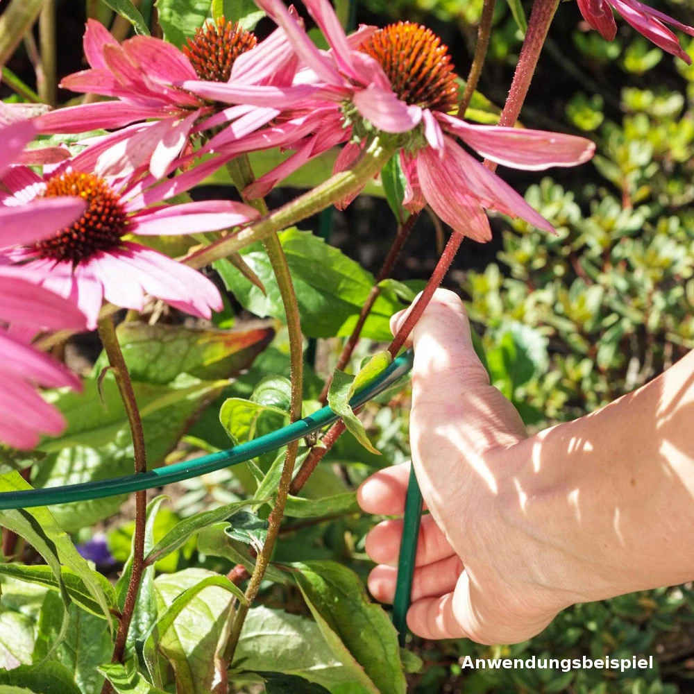 Strauchstütze 100 X 40 Cm, Metalldraht, Grün 4 Strauchstütze 100 X 40 Cm, Metalldraht, Grün – Bild 2