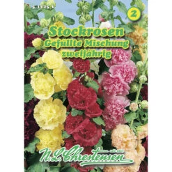 Saatgut Stockrosen Gefüllte Mischung Starkwachsend Und Dekorativ