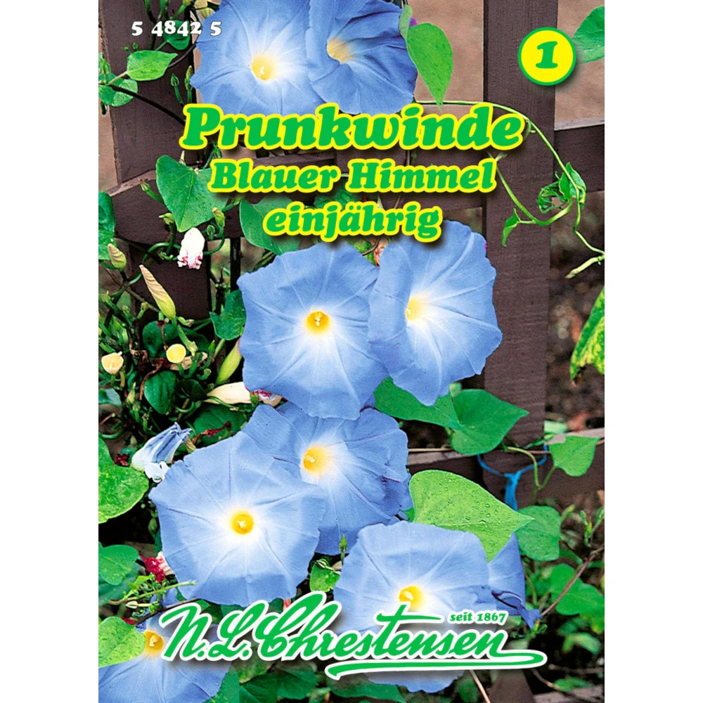 Saatgut Prunkwinde Blauer Himmel Einjährig 3 Saatgut Prunkwinde Blauer Himmel Einjährig