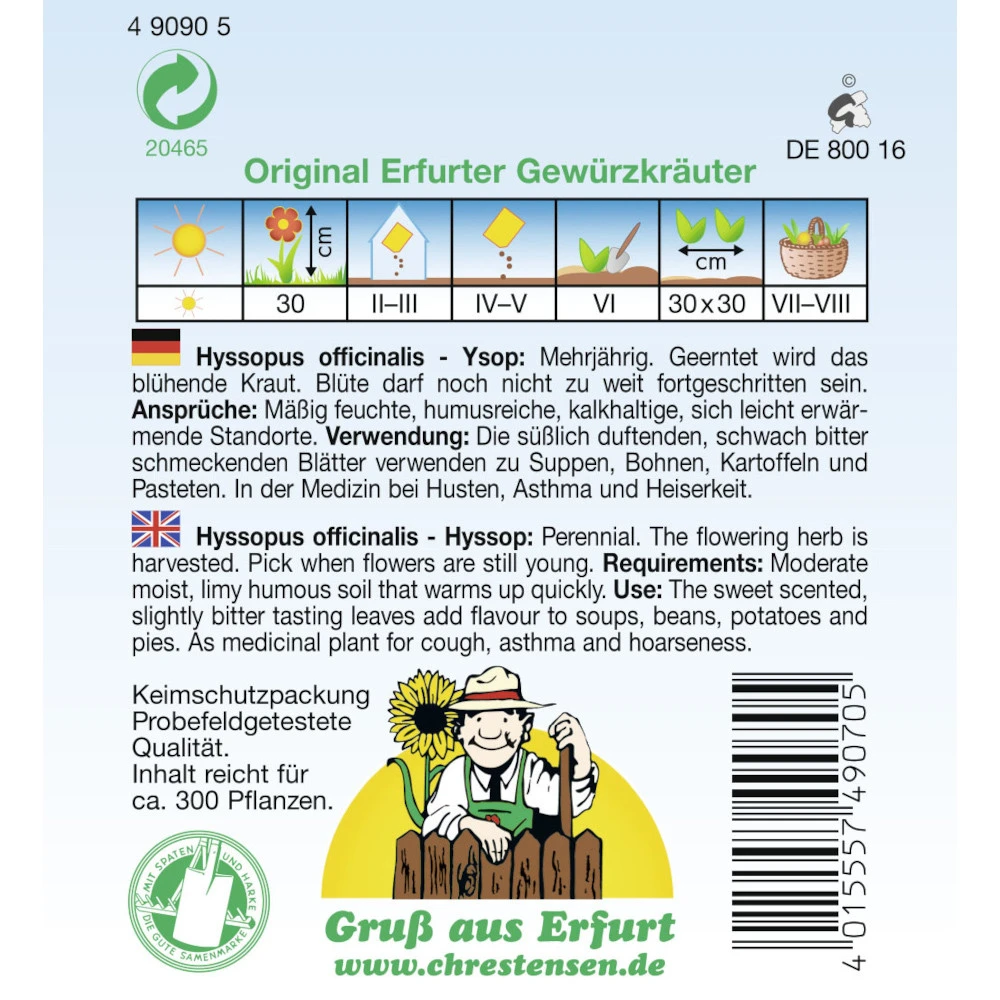 Ysop Saatgut PG 2 4 Ysop Saatgut PG 2 – Bild 2