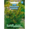 Saatgut Dill Blattreicher Würzigem Für 4-5 Laufende Meter 2 Saatgut Dill Blattreicher Würzigem Für 4-5 Laufende Meter -Gartengeräte Zg0vCnEyYp9Fl9 1280x1280