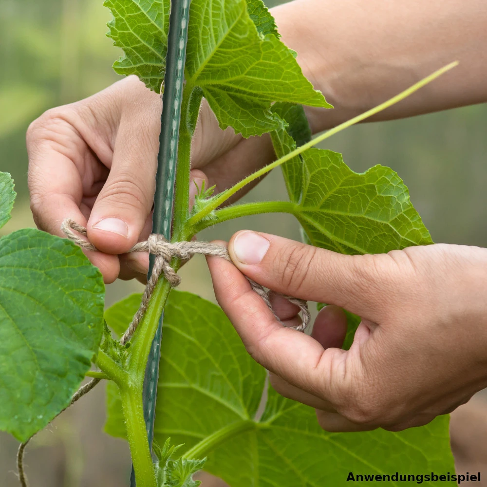 Pflanzstab Ø 11 X 1500 Mm Aus Stahldraht Mit Dunkelgrüner Ummantelung 4 Pflanzstab Ø 11 X 1500 Mm Aus Stahldraht Mit Dunkelgrüner Ummantelung – Bild 2