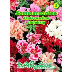 Saatgut Sommerazalee Mischung Gefüllt Blühend, Reicht Für Ca. 150 Pflanzen