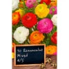 Ranunkel Blumenzwiebel Mischung -Gartengeräte ZwesbQzwTvNNuz 1280x1280