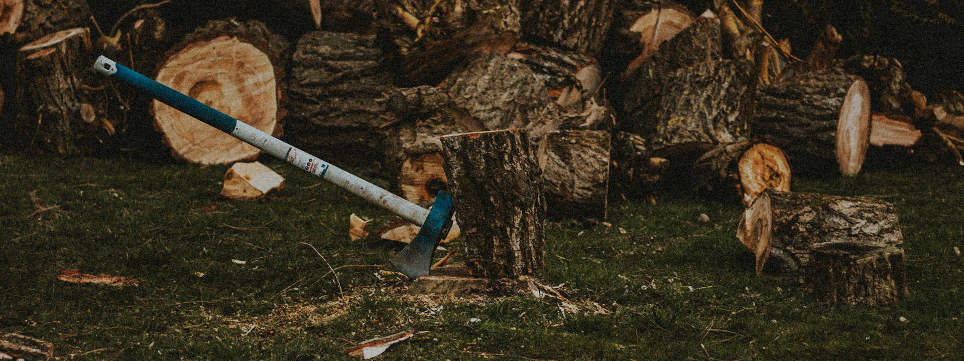 Gartengeräte 1 Gartengeräte -Gartengeräte pexels matreding 6835315